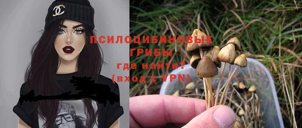 хмурый Алексин
