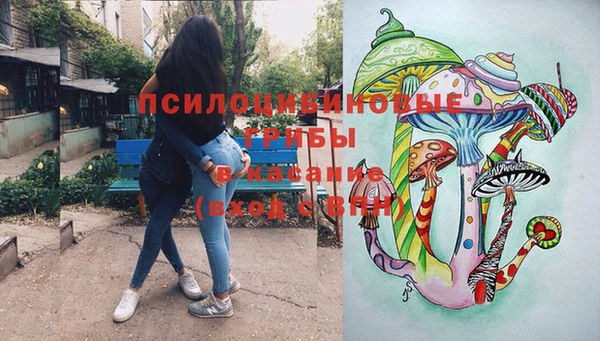 a pvp Арсеньев