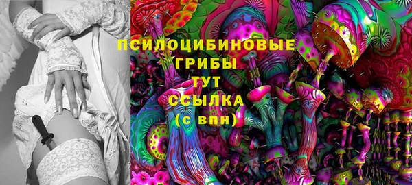 a pvp Арсеньев