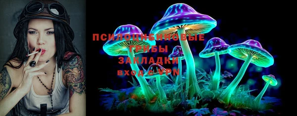 хмурый Армянск