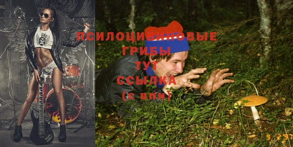 a pvp Арсеньев