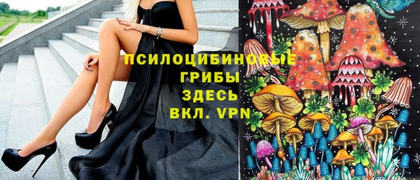 a pvp Арсеньев