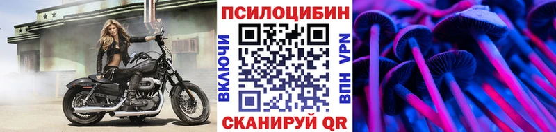 ссылка на мегу ссылки  Кыштым  Псилоцибиновые грибы Magic Shrooms 